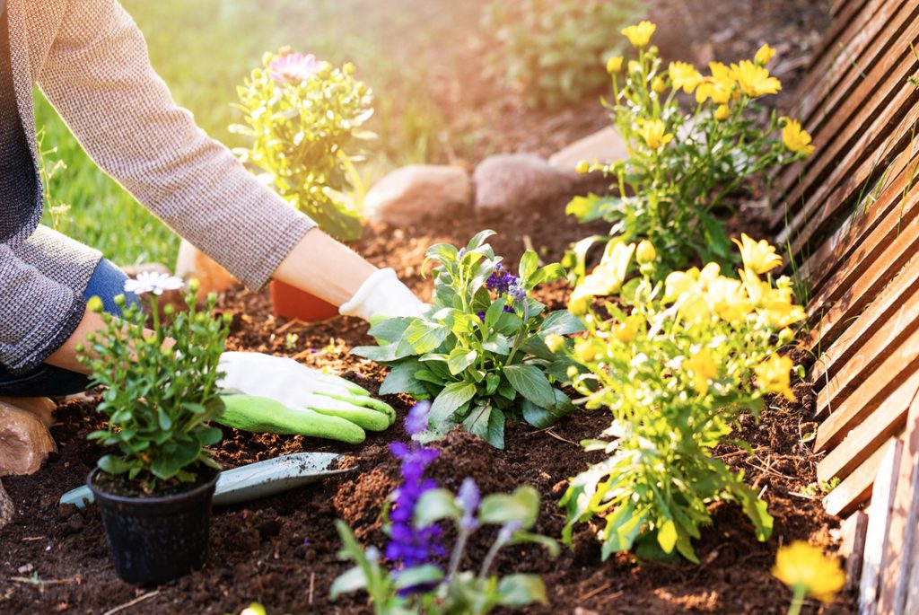 one day backyard projects