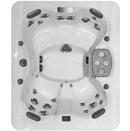 Twilight hot tub Model TS 67.25