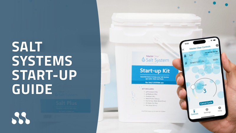 Salt system start up guide